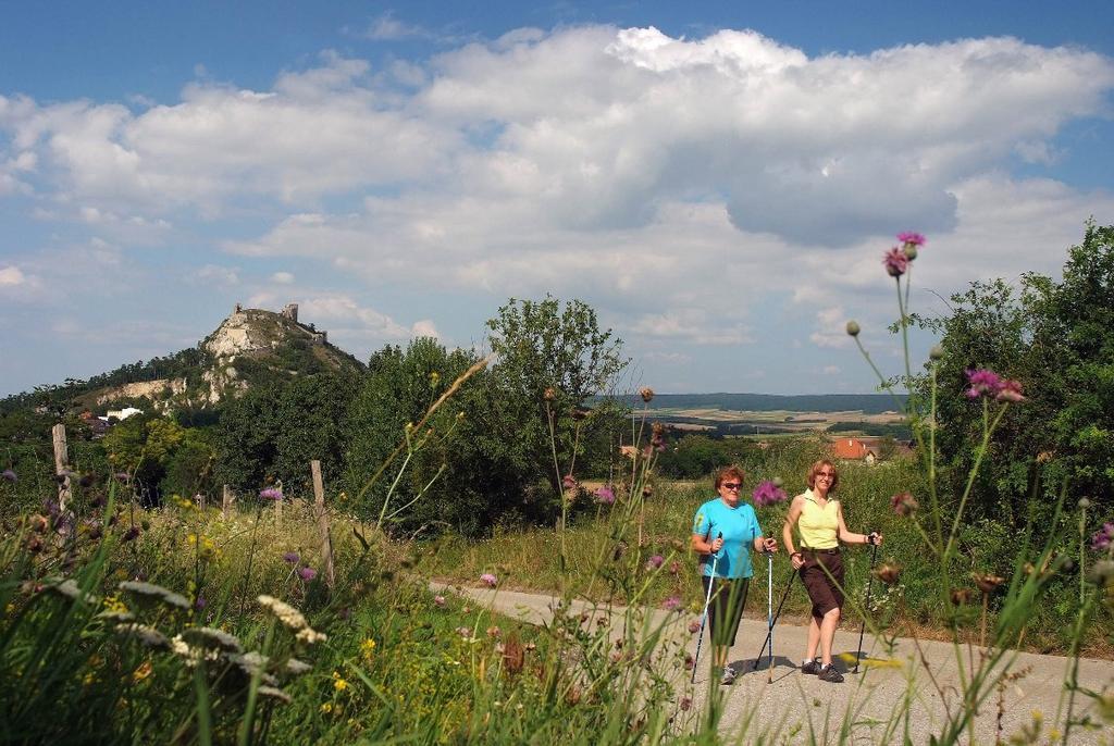Weinbauernhof Vier Jahreszeiten Staatz Exterior foto
